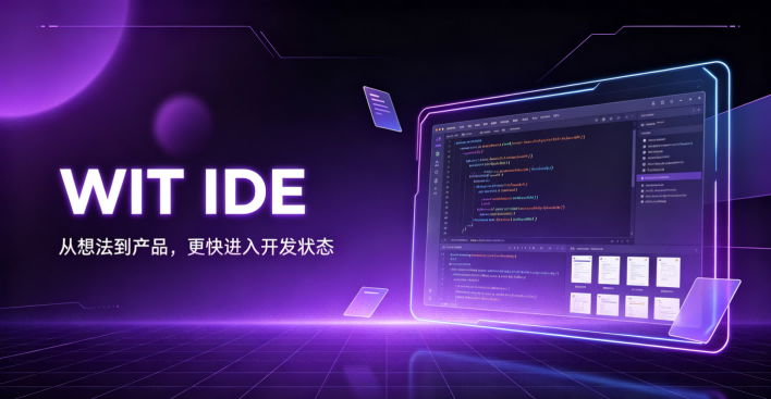 WEB IDE展示图